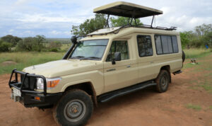 best tour company in Tanzania