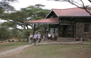Corporate and team retreat safari in Tanzania at Serengeti National Park showing vast wildlife landscape and migration area