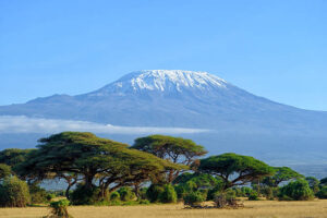 Best Adventure Activities in Tanzania: snow on top of Mount Kilimanjaro showcasing Africa’s highest peak hiking adventure and iconic summit experience in Tanzania 2026