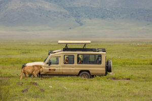 Best Adventure Activities in Tanzania: safari jeep and wildlife in Ngorongoro Crater Tanzania showing game viewing experience in unique volcanic ecosystem safari 2026