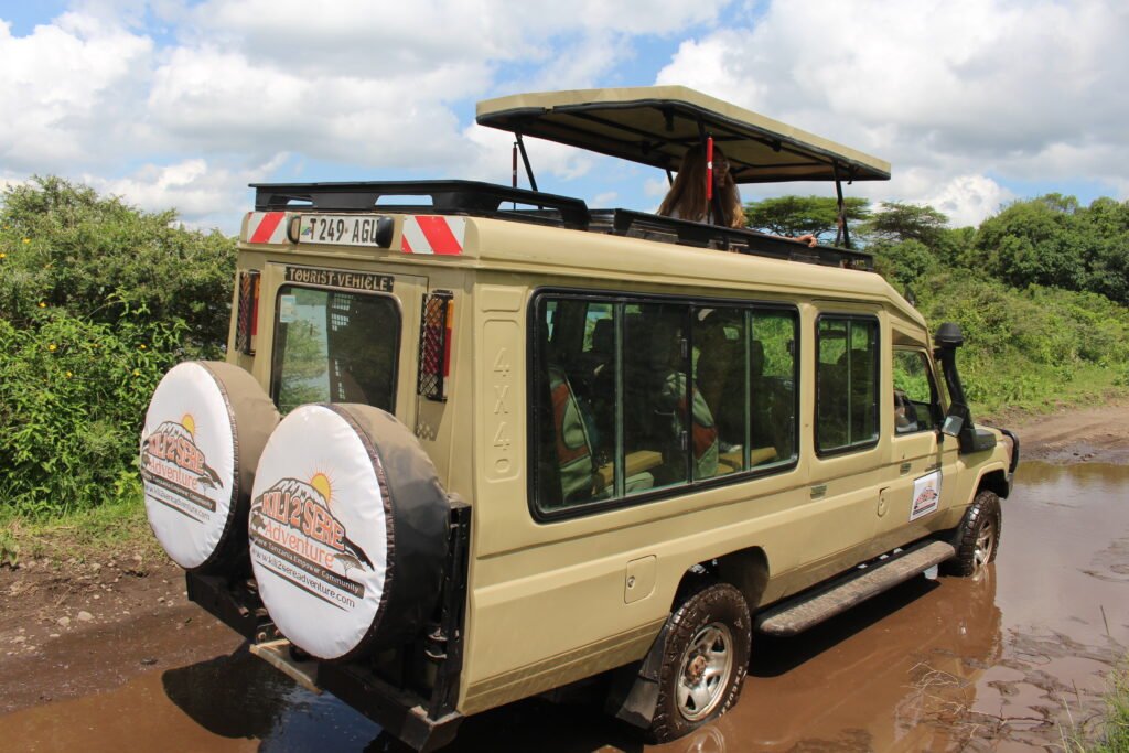 Top National Parks in Tanzania