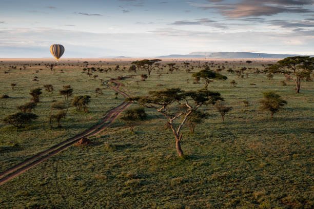 Hot Air Balloon Safari in Serengeti