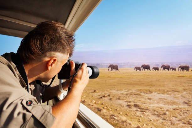 top things to do in Tanzania