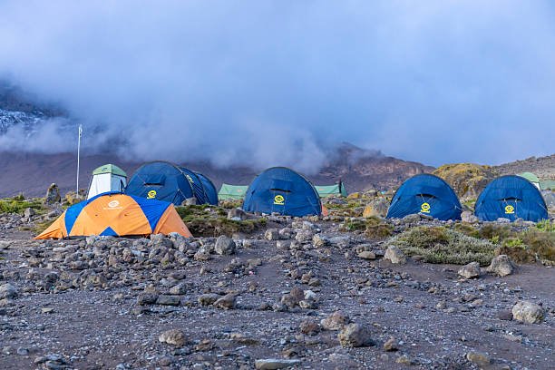 High-altitude camping on Mount Kilimanjaro along the Lemosho Route