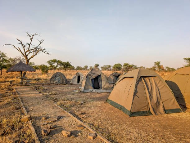 4-Day Tanzania Wildlife Safari Cost – safari tents in Serengeti National Park, Tanzania