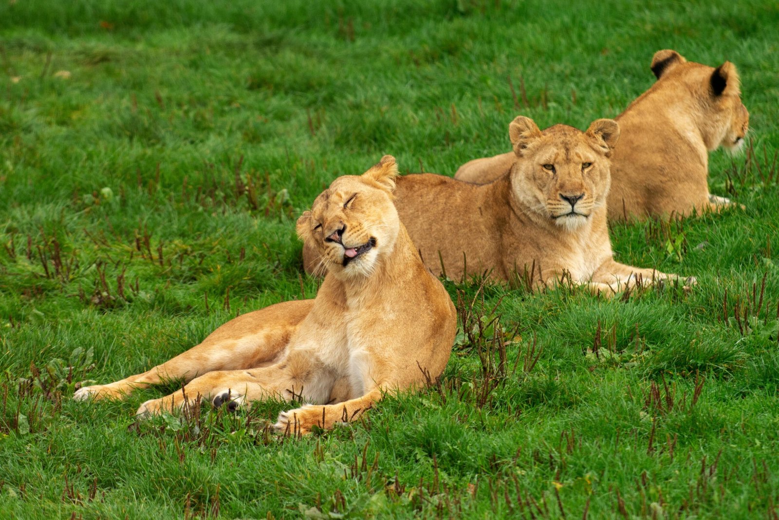 Adventure in Tanzania