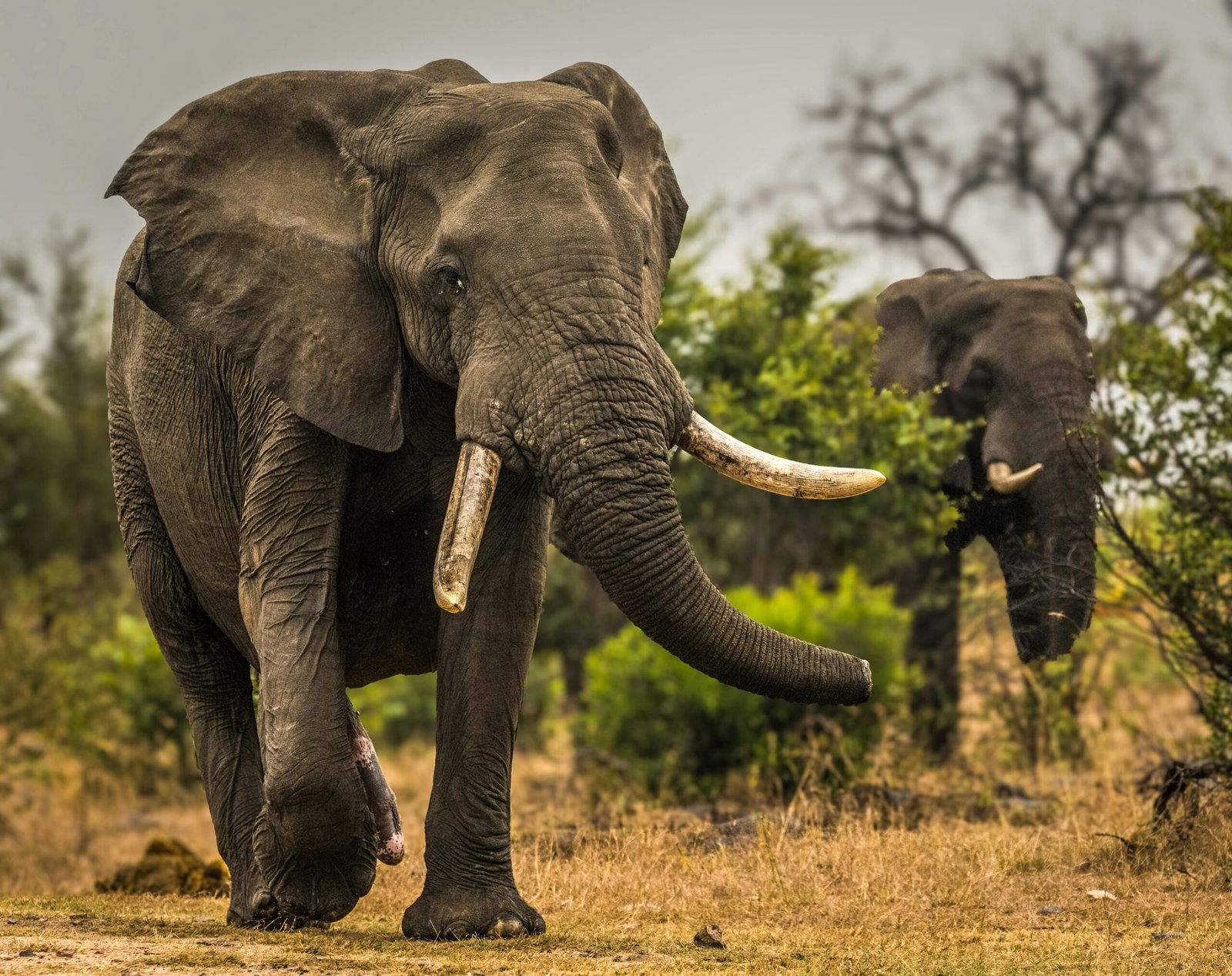 Tarangire National Park