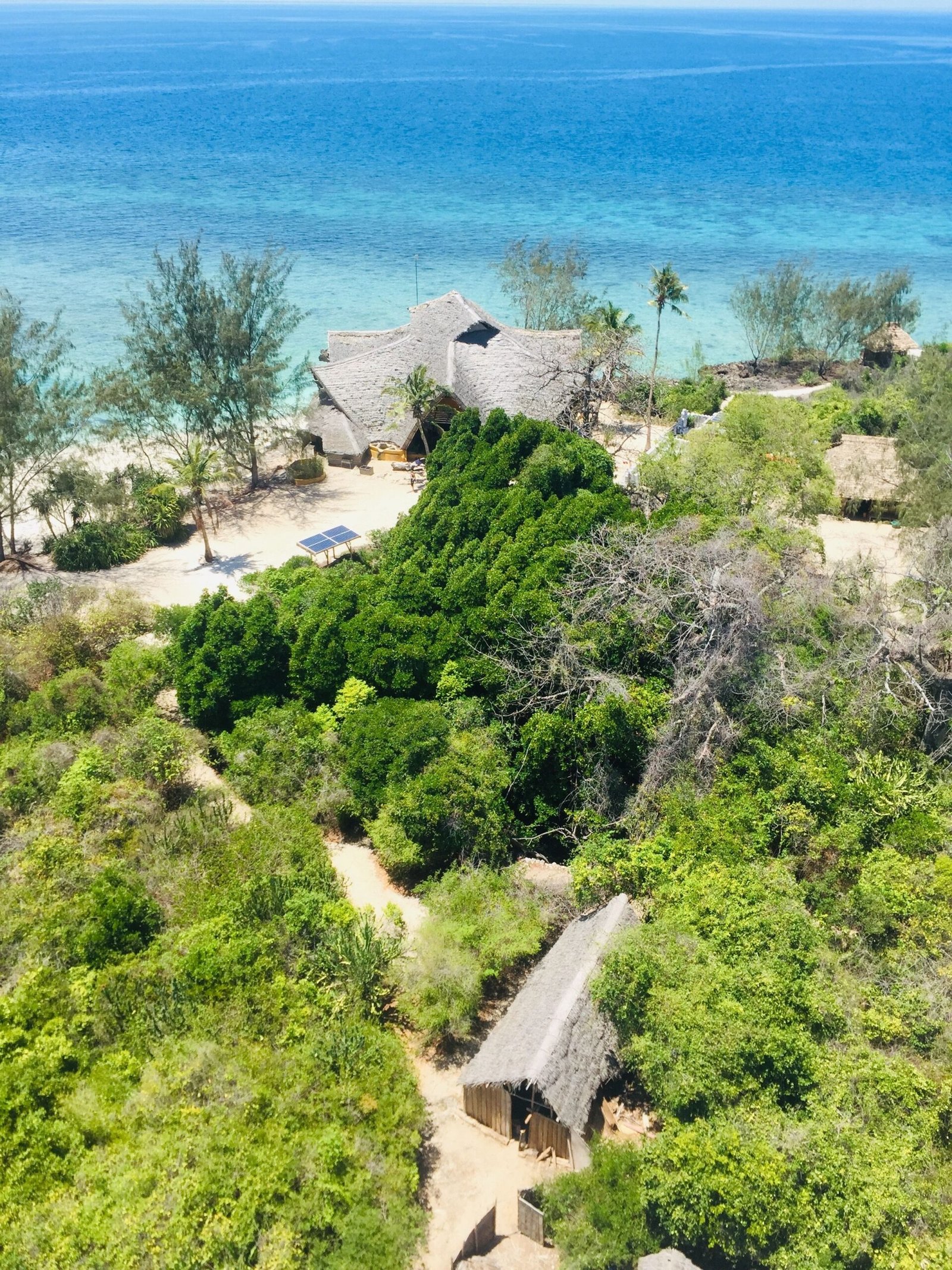 Mnemba Zanzibar Marine Experience
