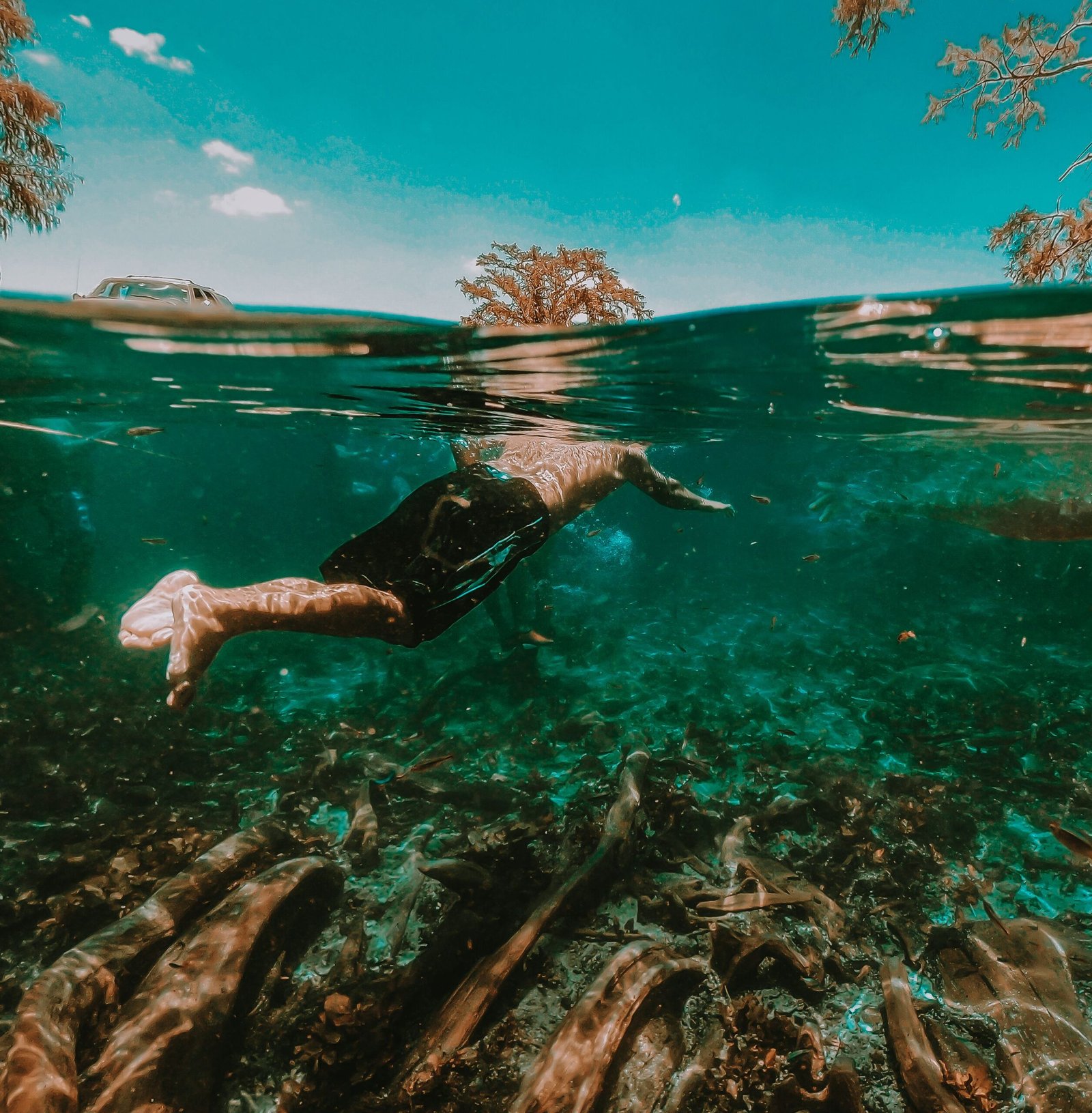 Chemka Hot Springs