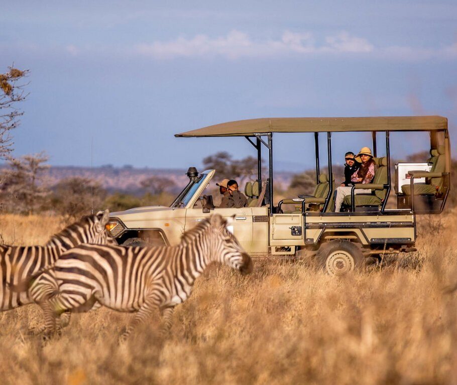 Tanzania safari