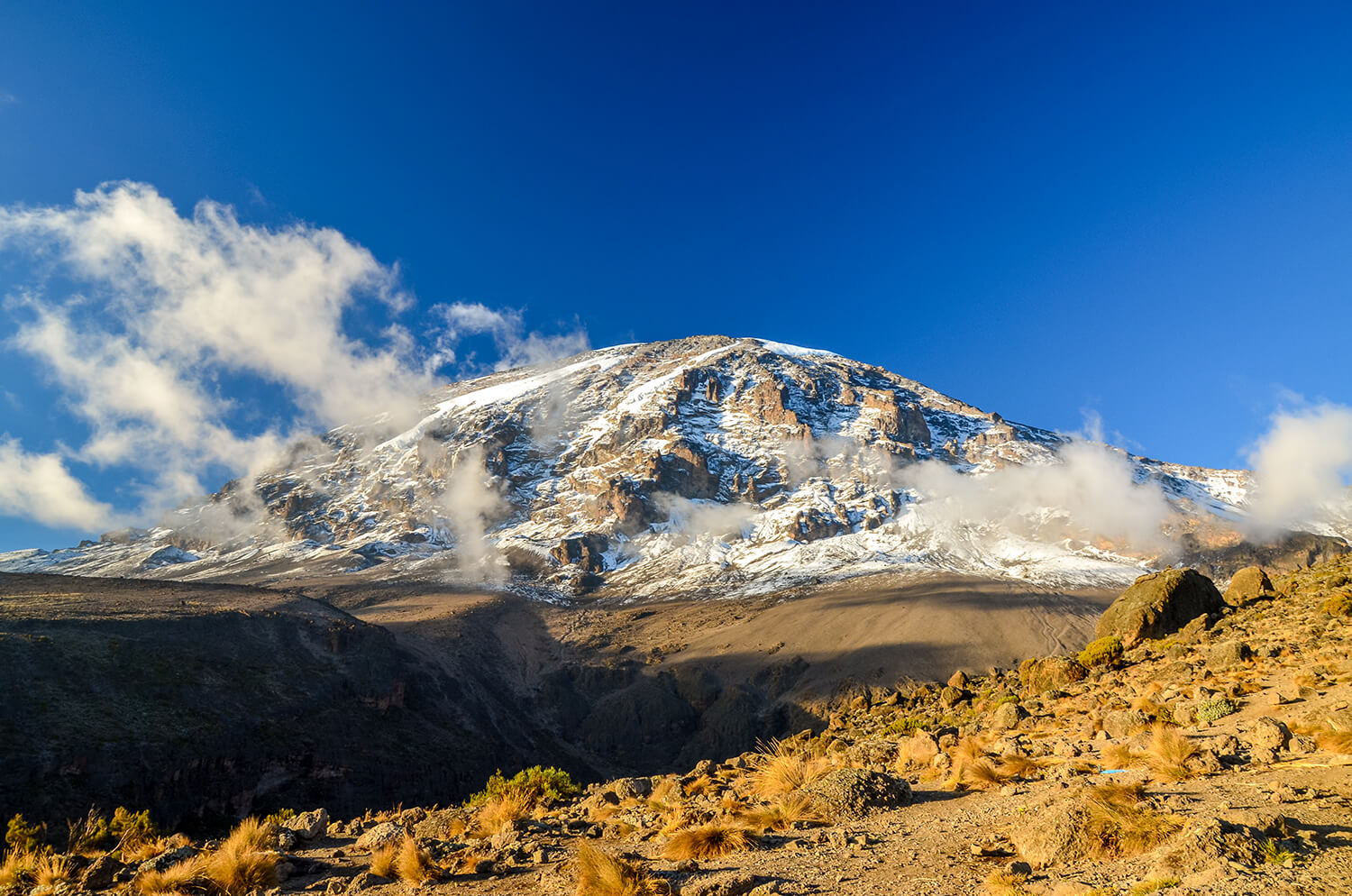 kilimanjaro