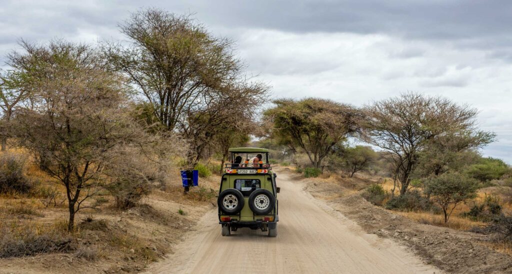Tanzania walking safari experience