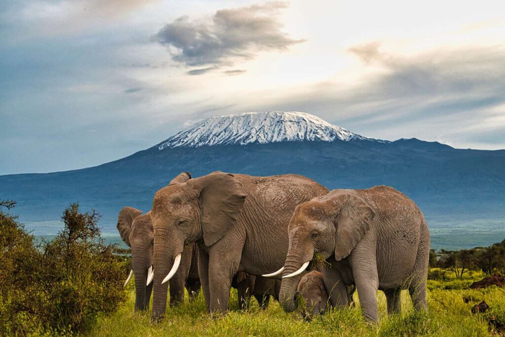 best time to climb mount kilimanjaro