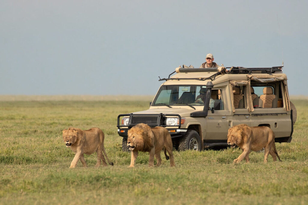 best tour company in Tanzania