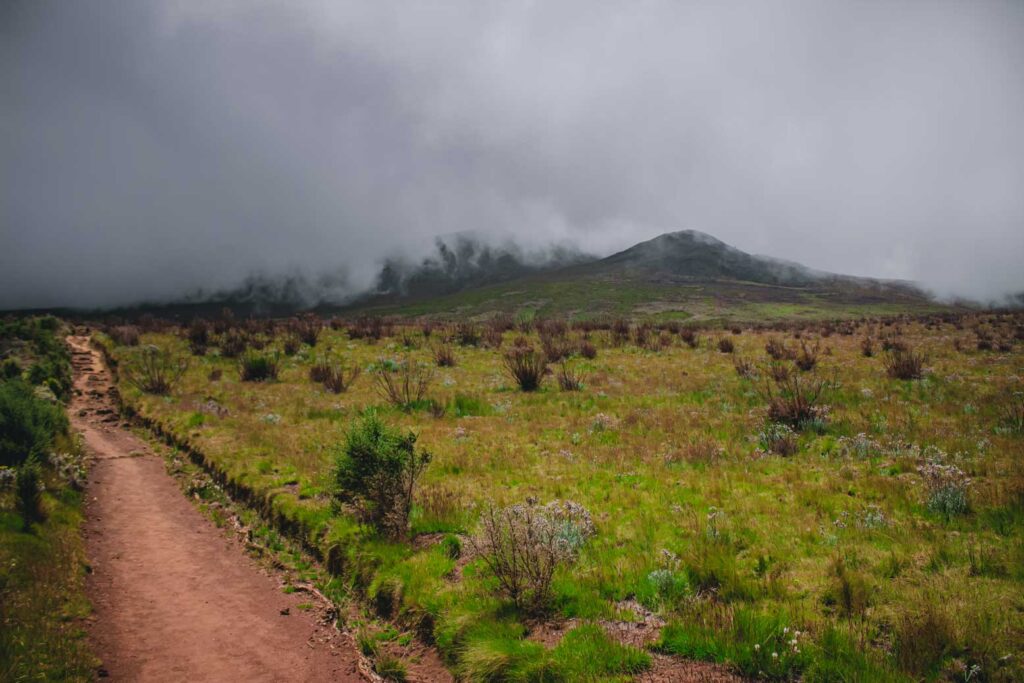 mount kilimanjaro weather guide