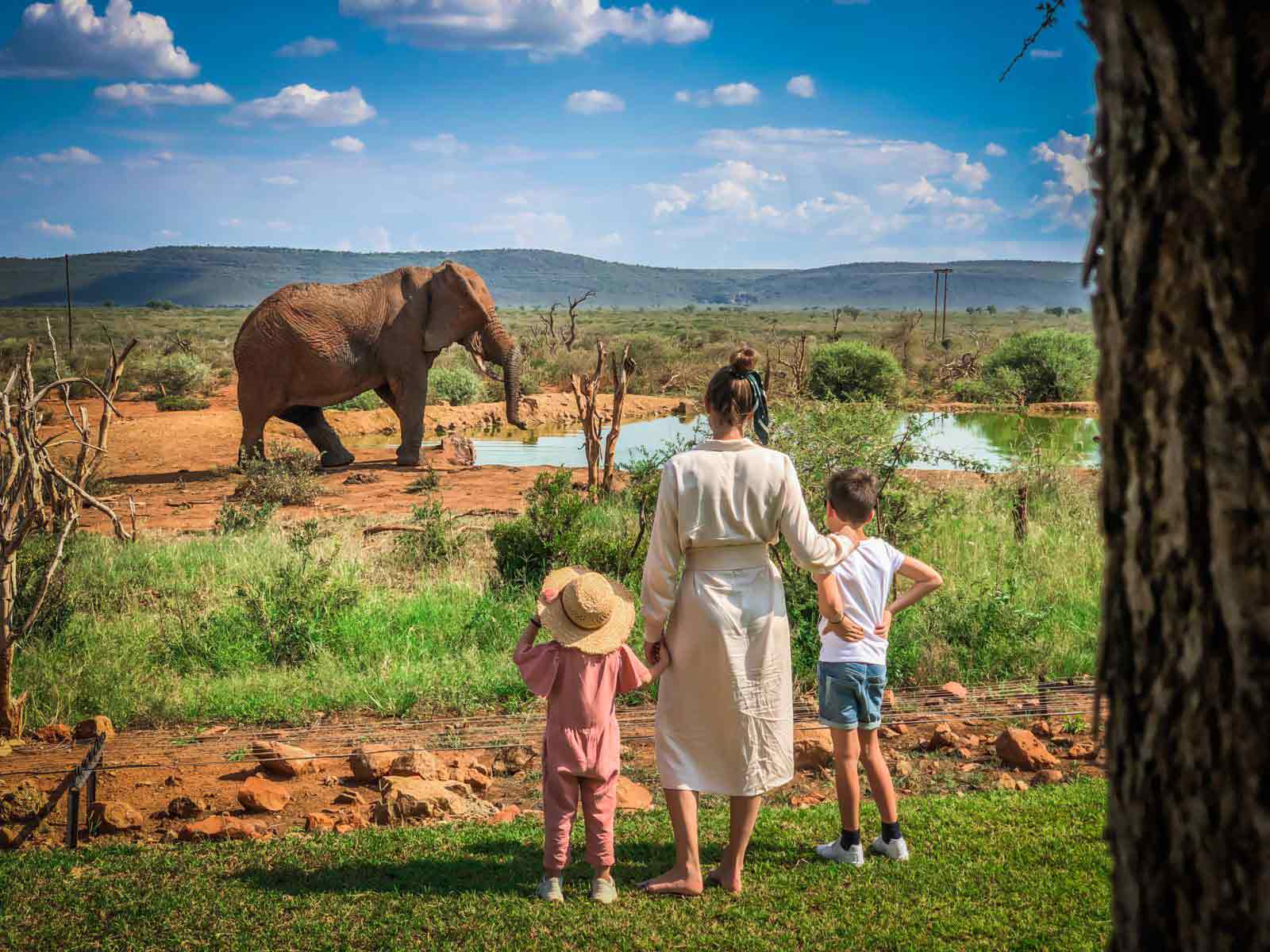 Tanzania safari with kids