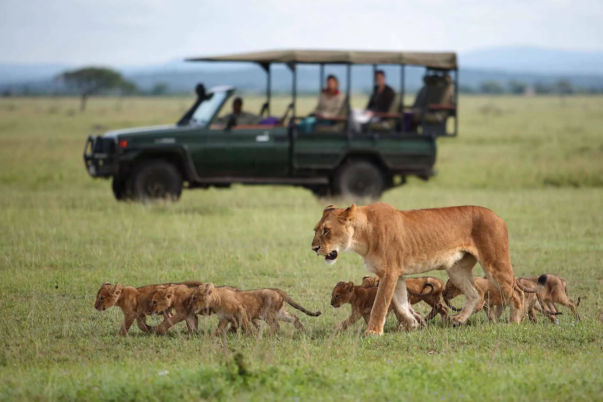 ngorongoro conservation area