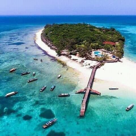 prison island tour in zanzibar