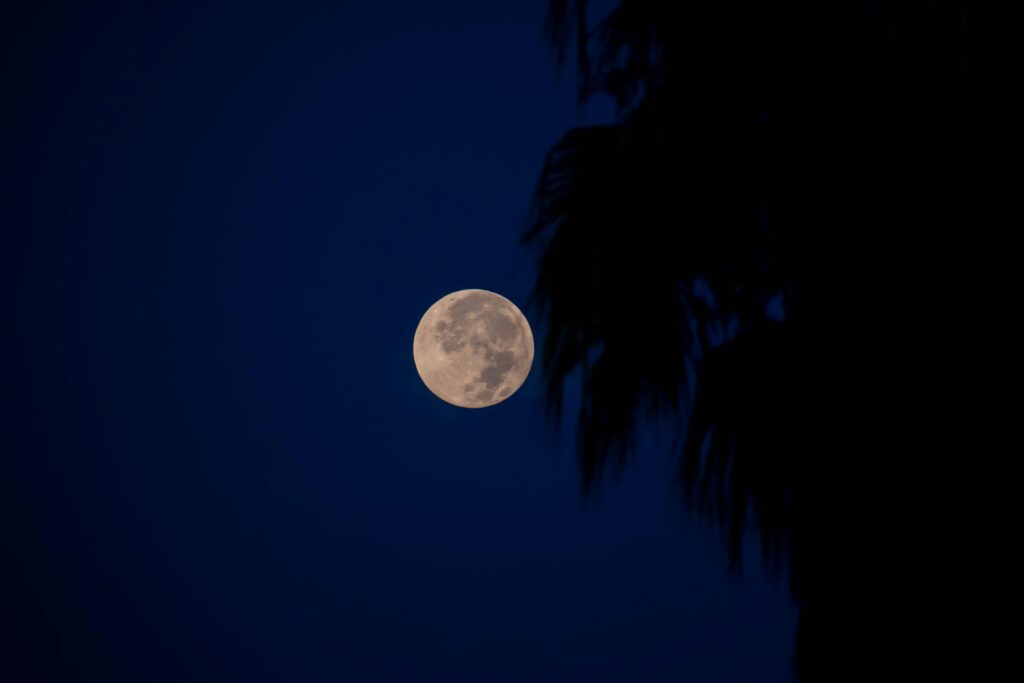 Top destination to visit for a full moon in Tanzania