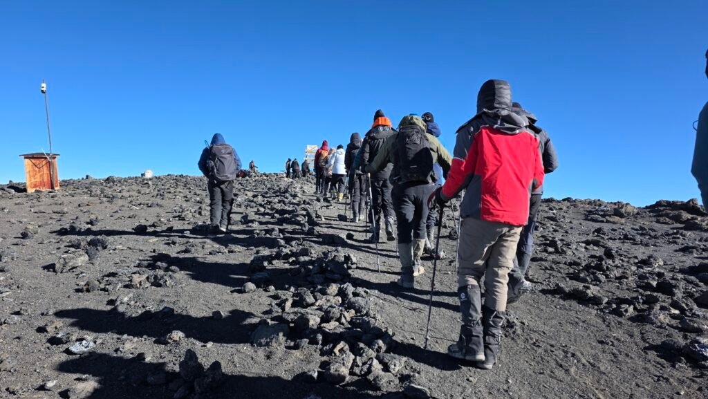best Kilimanjaro tour company