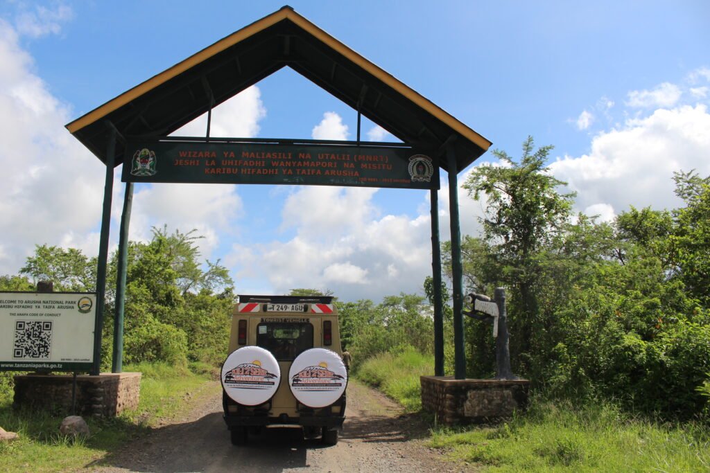 Top National Parks in Tanzania