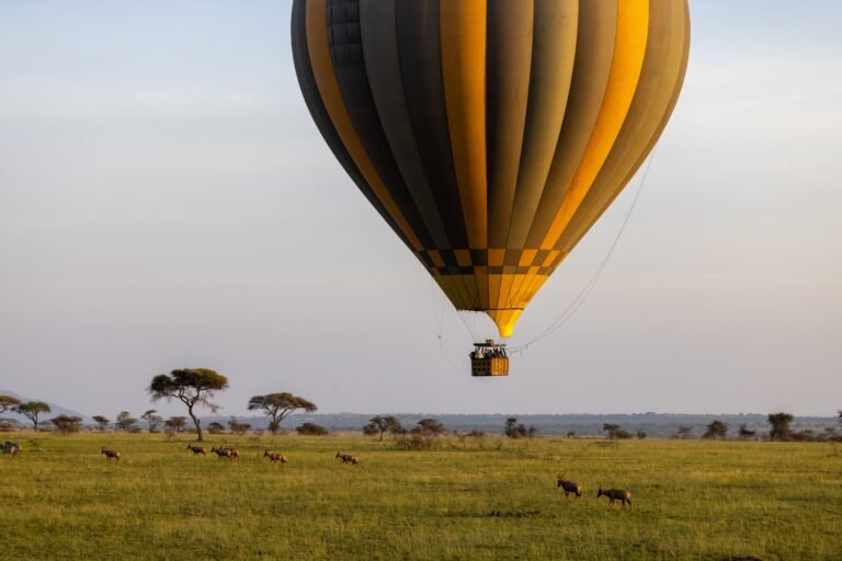 Hot air balloon safari