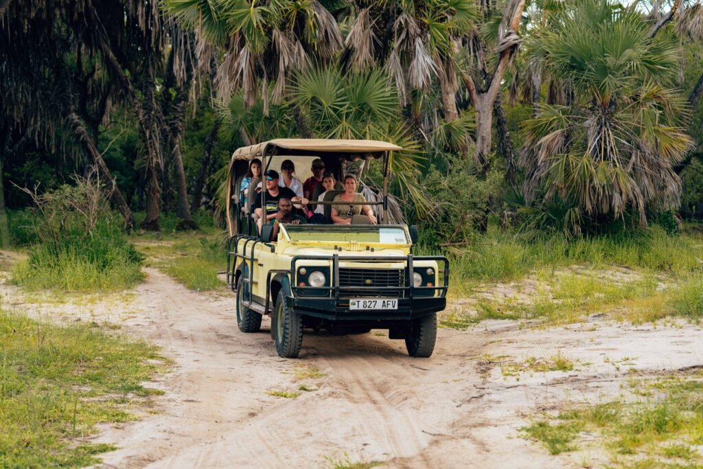 Top 10 Best Safari in Tanzania