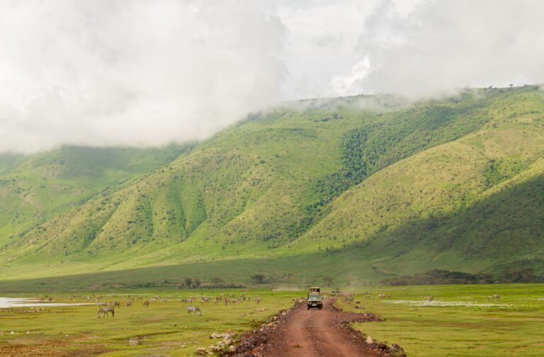 Top National Parks in Tanzania