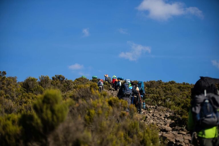🏔️ Conquer Kilimanjaro