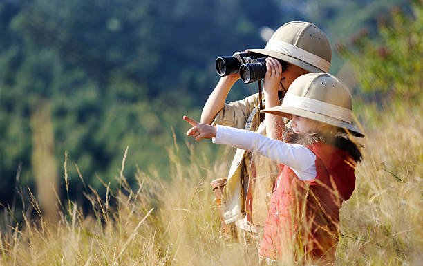 Tanzania safari cost