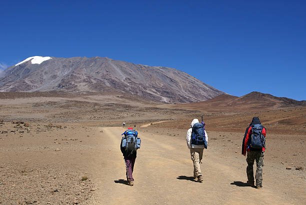 8-Days Kilimanjaro Climbing Cost – Climbing Mount Kilimanjaro via Lemosho Route