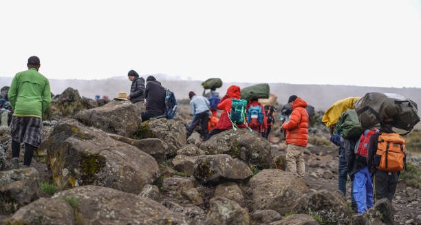 Mountain crew and trekkers climbing Mount Kilimanjaro on the Lemosho Route